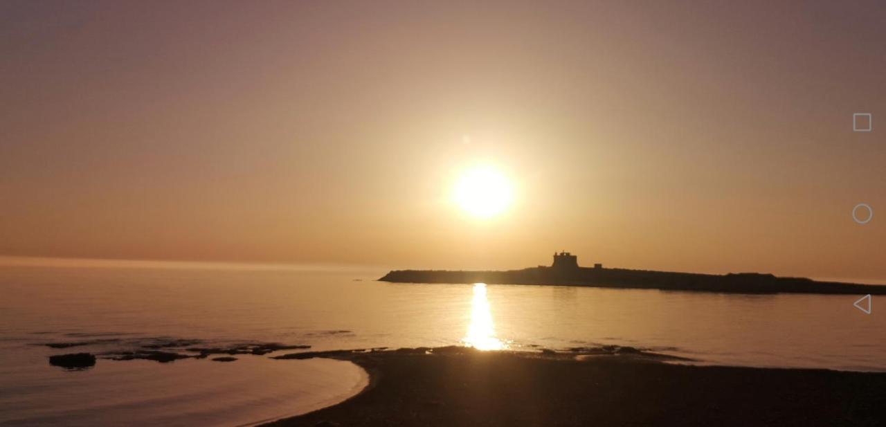 Bagghiu-cicogna Portopalo Di Capo Passero